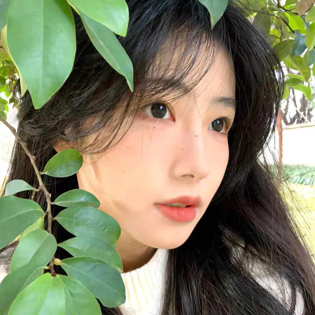 分裂的天空