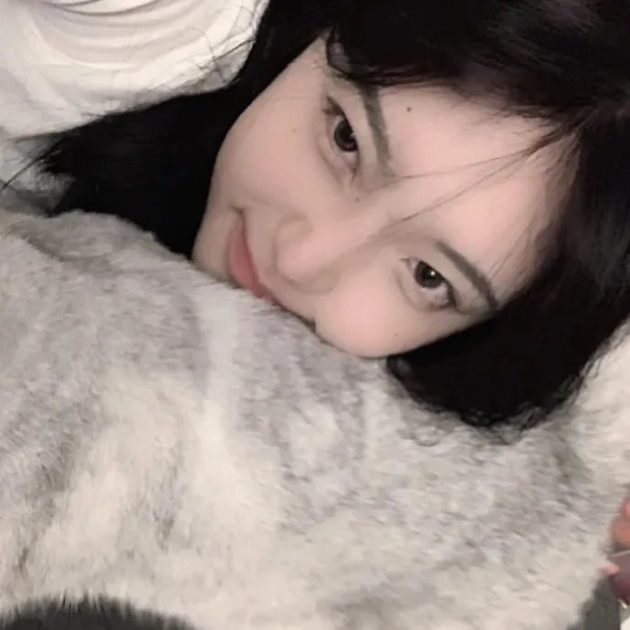 奇怪的猫咪